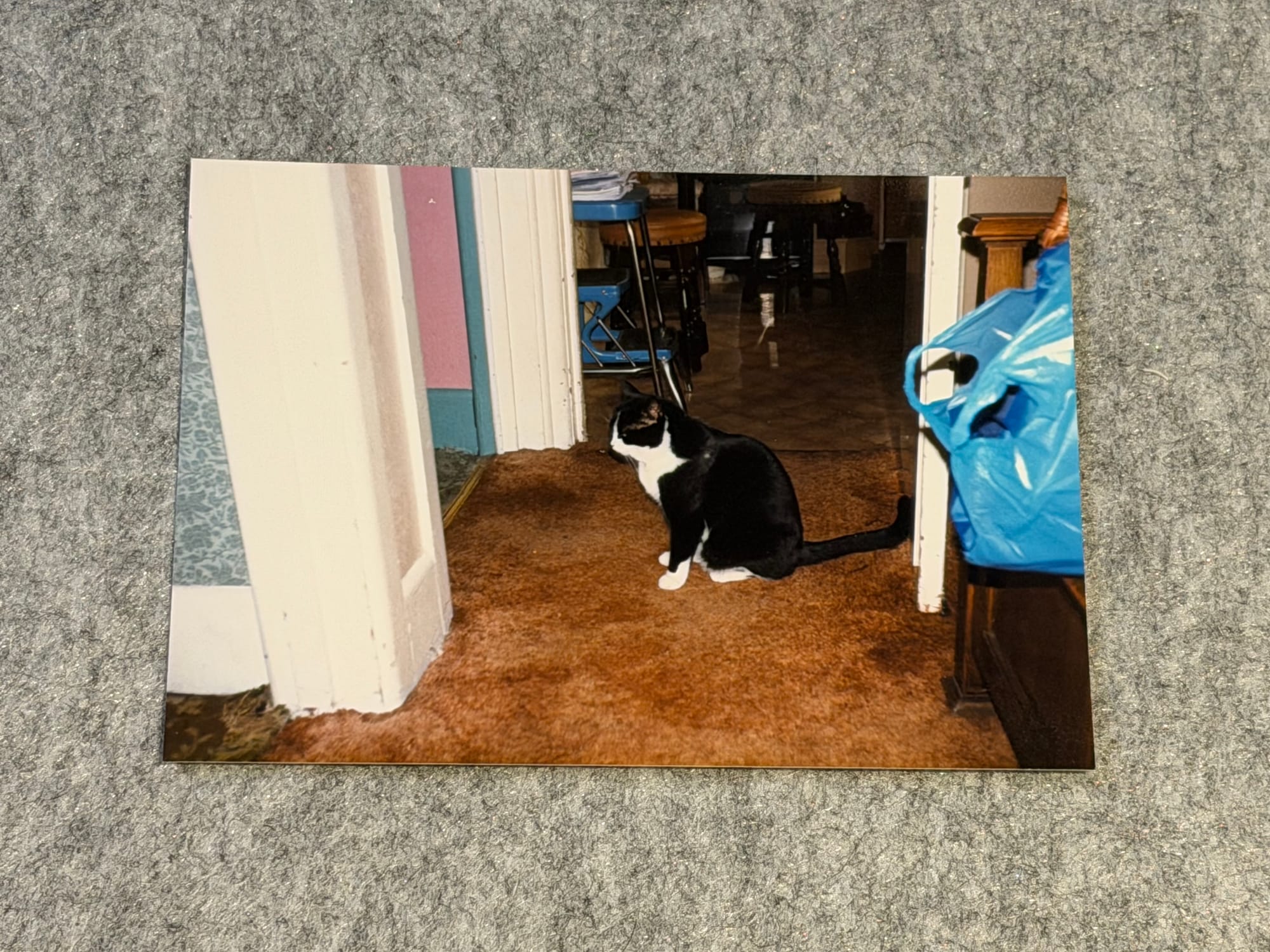 Images of a forgotten time